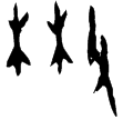 佚292(甲)
