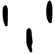 林1.26.4(甲)