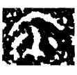 陳爾戈(金)戰國