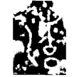 潦伯甗(金)西周早期