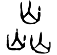 乙8691(甲)