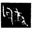 長子狗鼎(金)西周早期