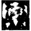 閼輿戈(金)戰國晚期