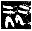 陳丽子戈(金)戰國