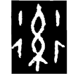 眚仲之孫簋(金)春秋早期