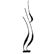 繁湯木之金劍(金)戰國
