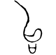王孫遺者鐘(金)春秋晚期