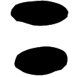 效父簋(金)西周早期