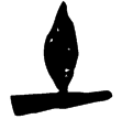 大盂鼎(金)西周早期