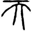 秦詔權(篆)秦